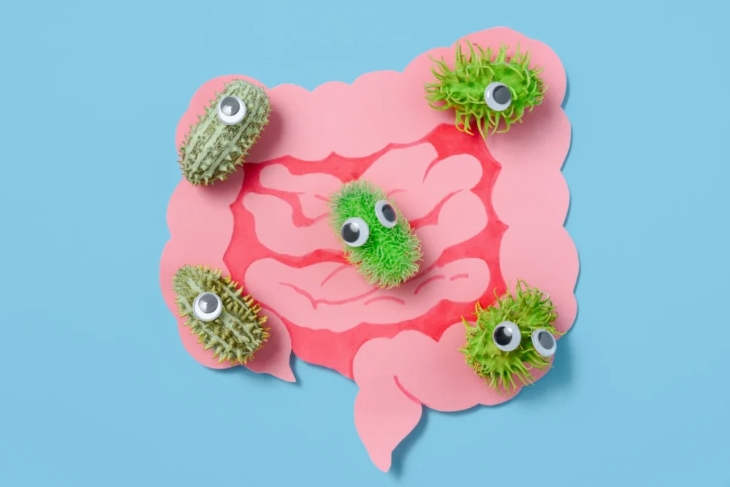 zielone bakterie w środku jelit