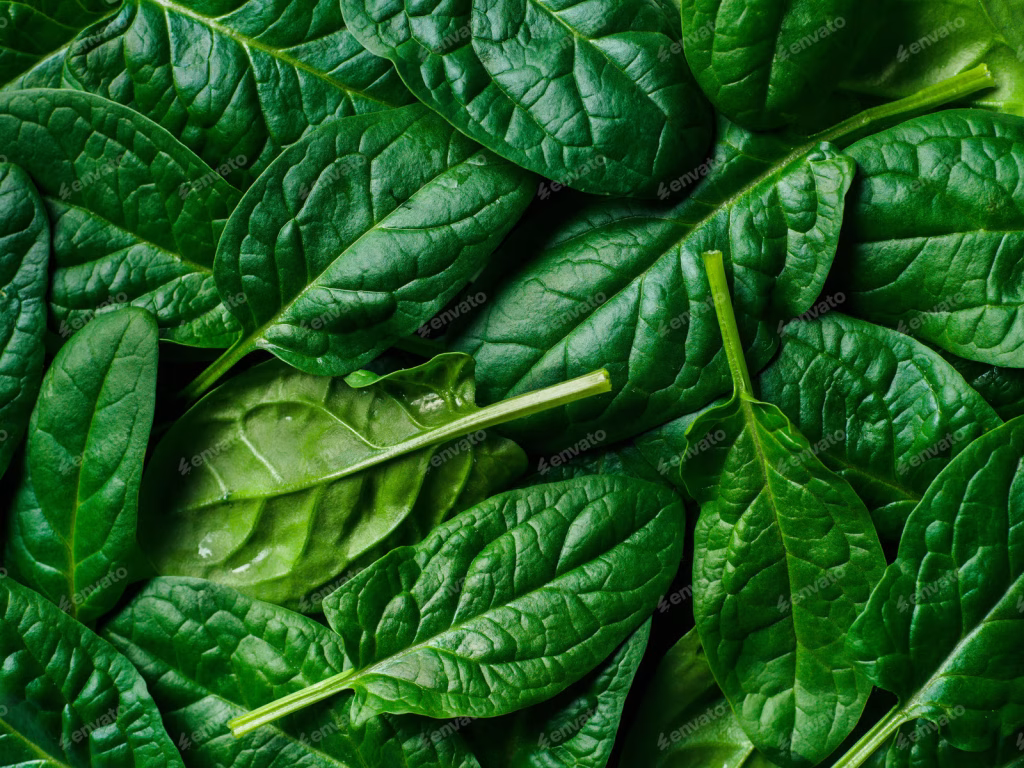 szpinak  bogaty m.in. w witaminy K i kwas foliowy